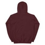 unisex-heavy-blend-hoodie-black-front-67e1c001174cc.jpg