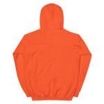 unisex-heavy-blend-hoodie-black-front-67e1c001174cc.jpg
